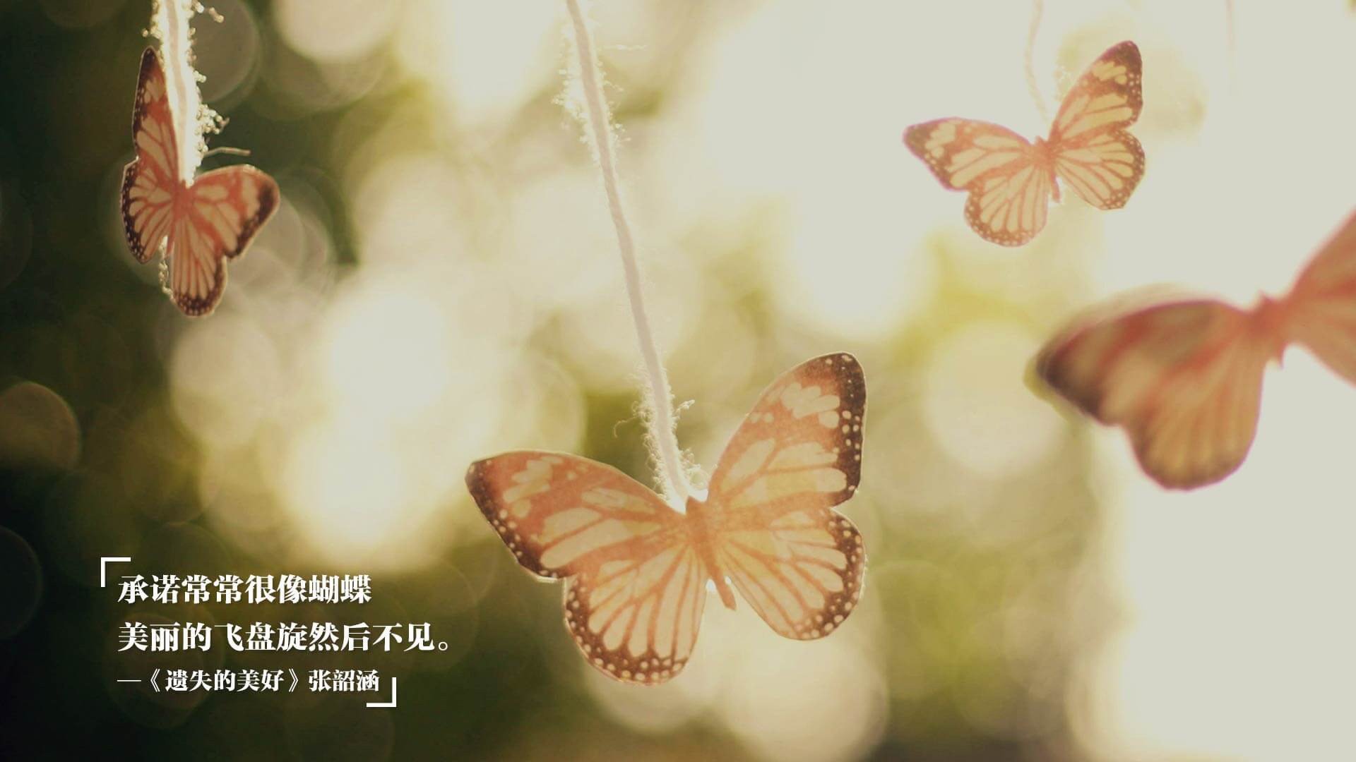 印象赛：夜空灯光照耀下的梦幻赛事