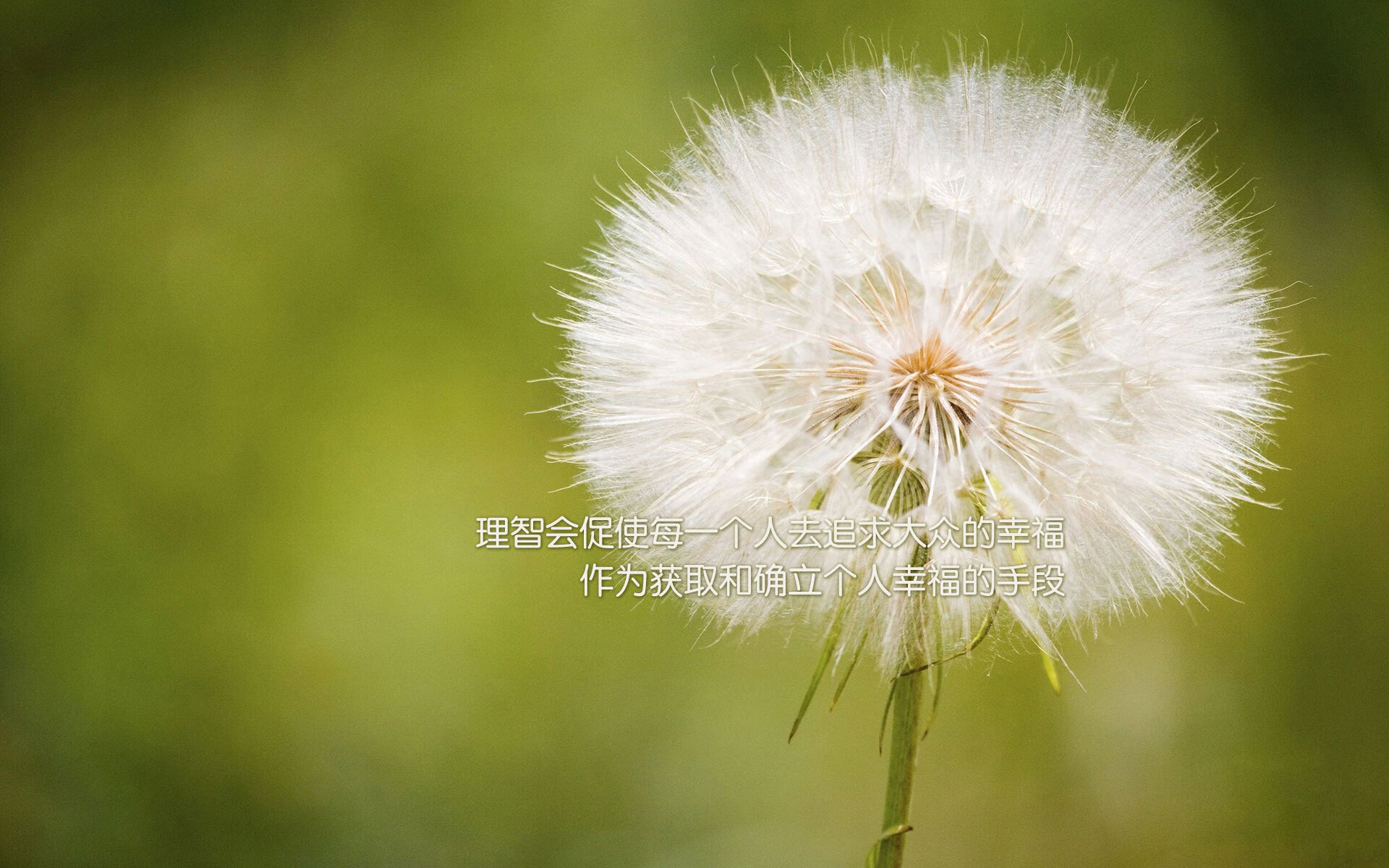陕西西部主场负于河南，遭遇两连败，陕西球队叫什么名字