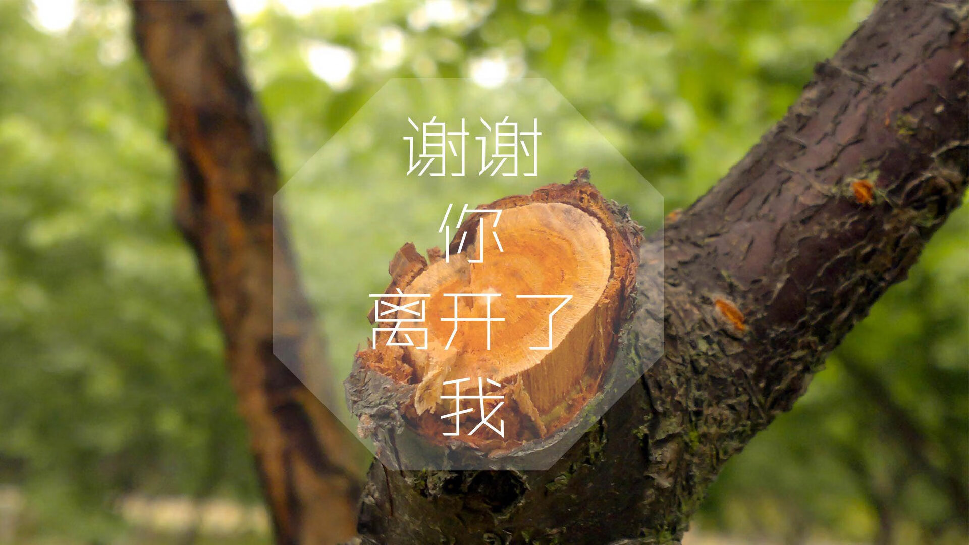 法甲青训训练中引入非语言表达应对高压情境模拟