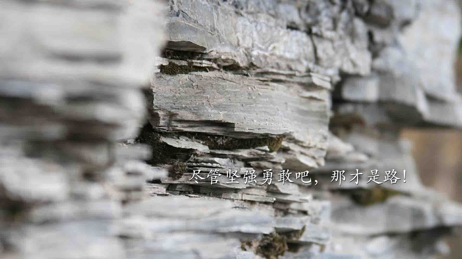 篮球专项体能训练恢复技术及临床应用，篮球体能训练有哪些项目