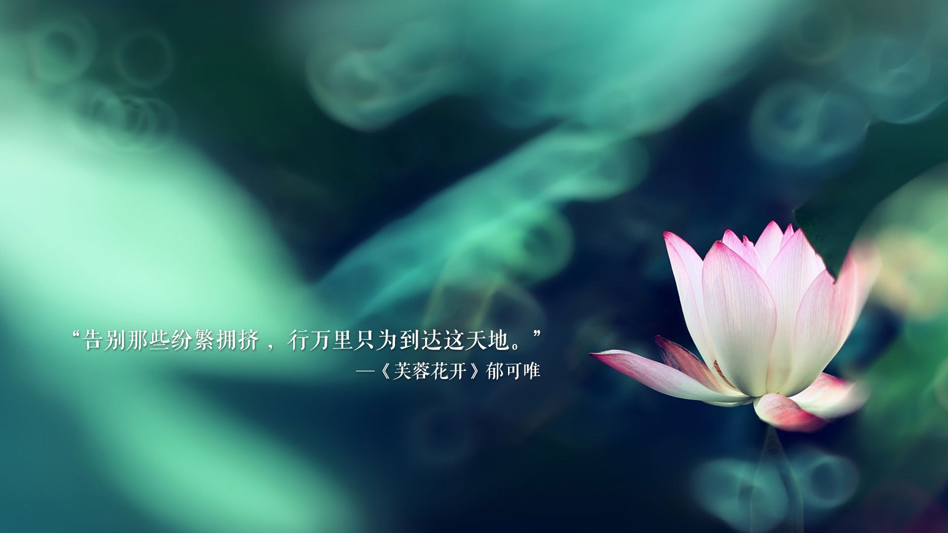 赛季盘点：欧洲五大联赛最另类的战术策略，欧洲五大联赛比赛时间
