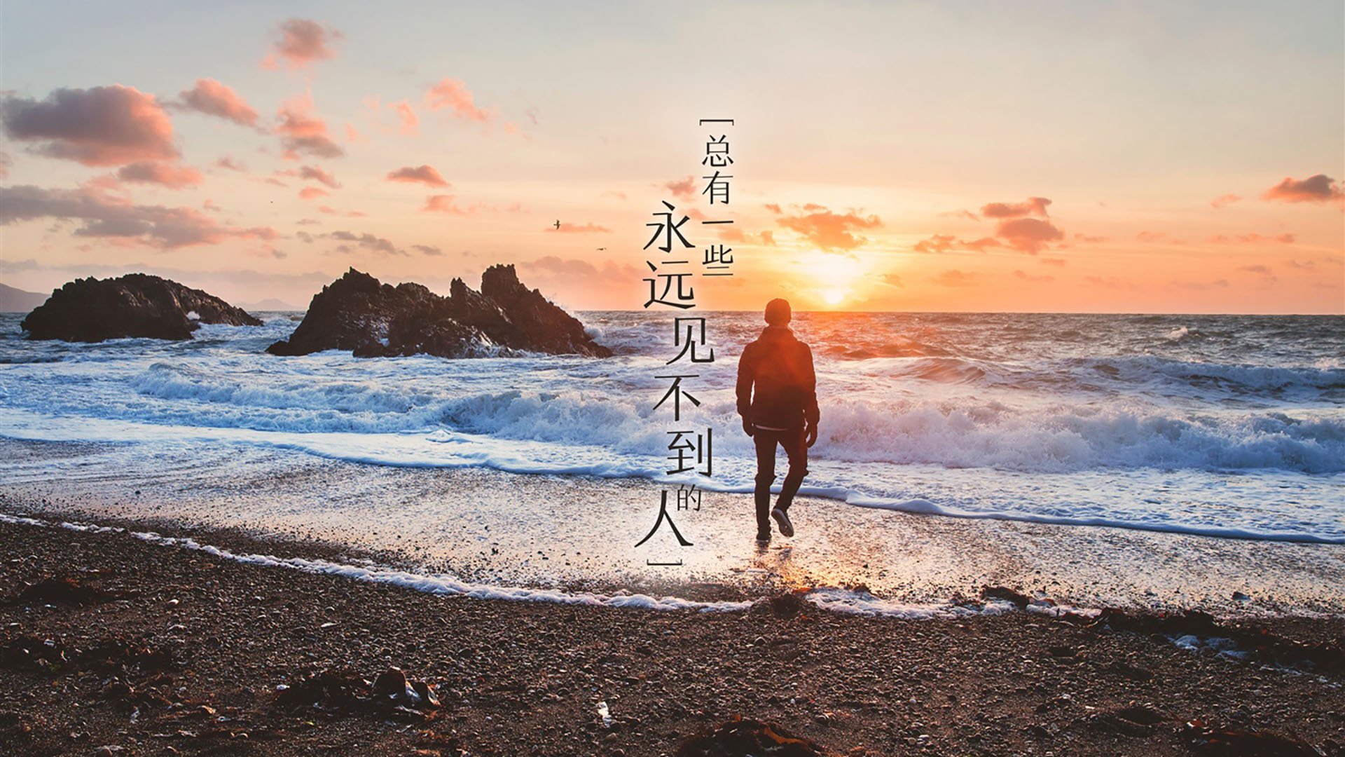 Chinese Taipei团队未来：向世界级竞技队伍迈进的新征程，taipei of china